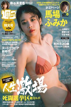 金陵十三衩